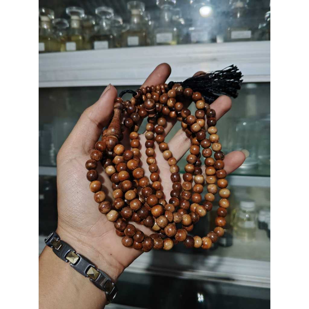 Tasbih Stigi Laut