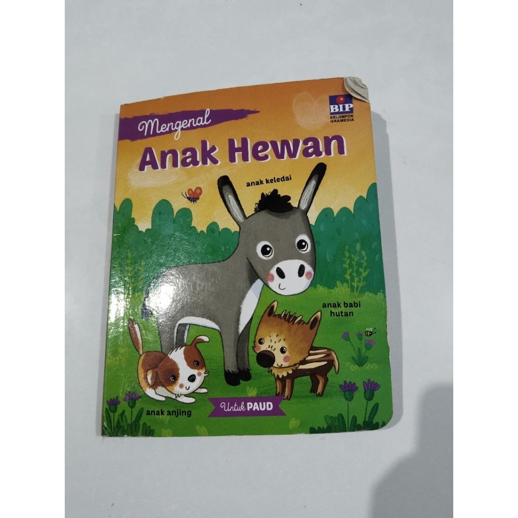 PL BOARDBOOK BIP Anak Hewan
