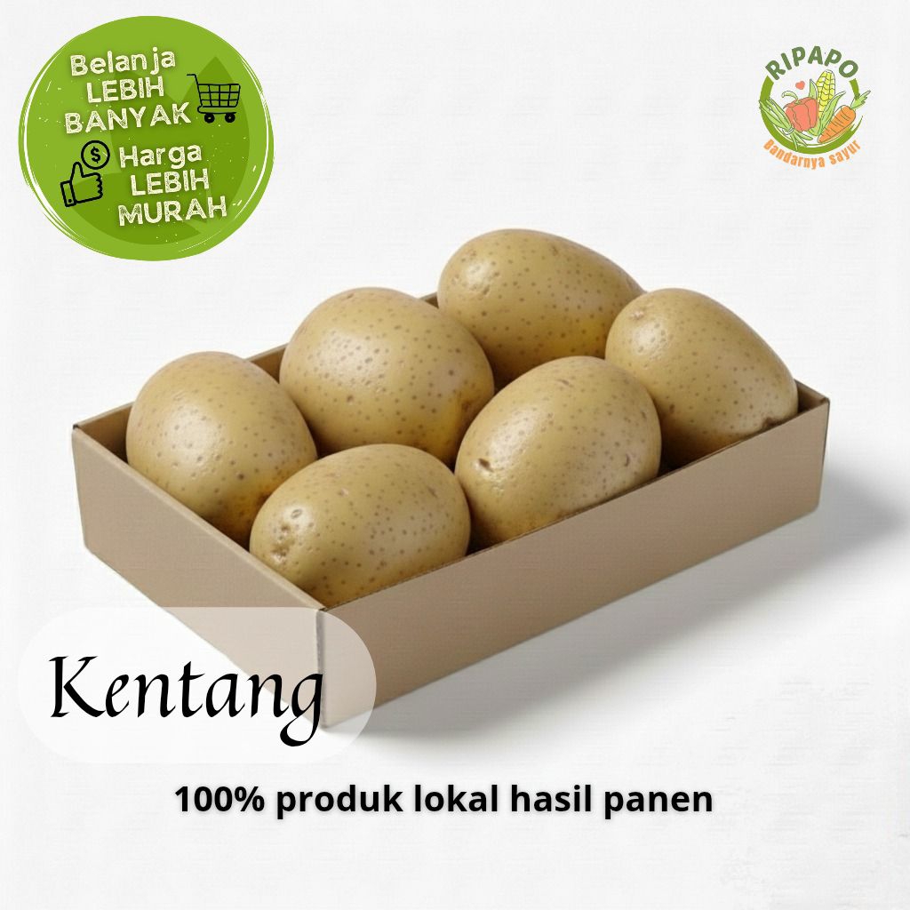 Kentang segar ABC (sedang) 600gr bandung siap masak | RIPAPO