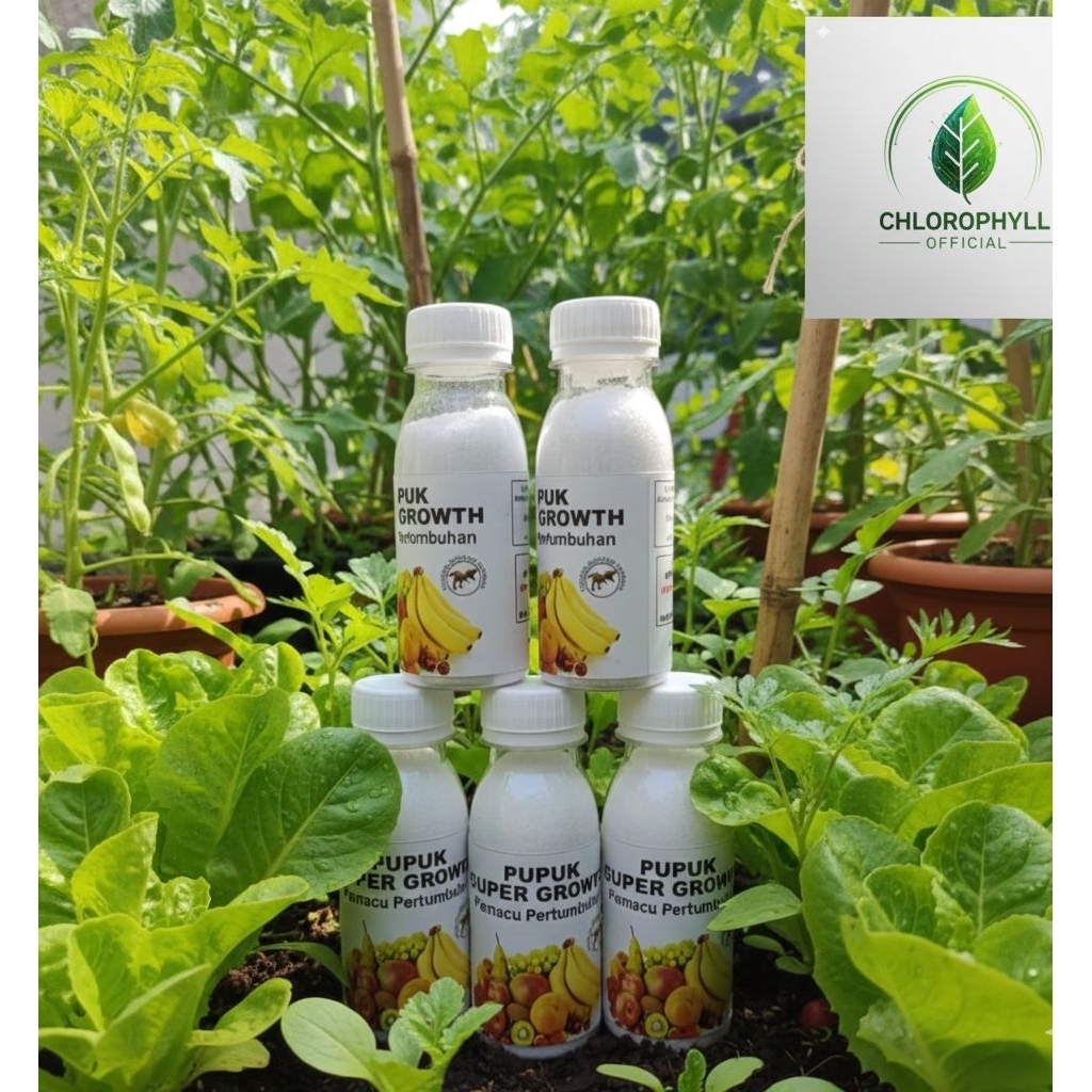 PUPUK SUPER GROWTH Beli 1 Dapat 5, Mempercepat Pertumbuhan