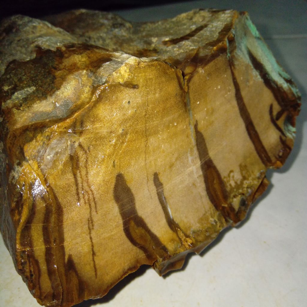 Natural Batu Motif Bulu Macan Loreng Sumatera Indonesia