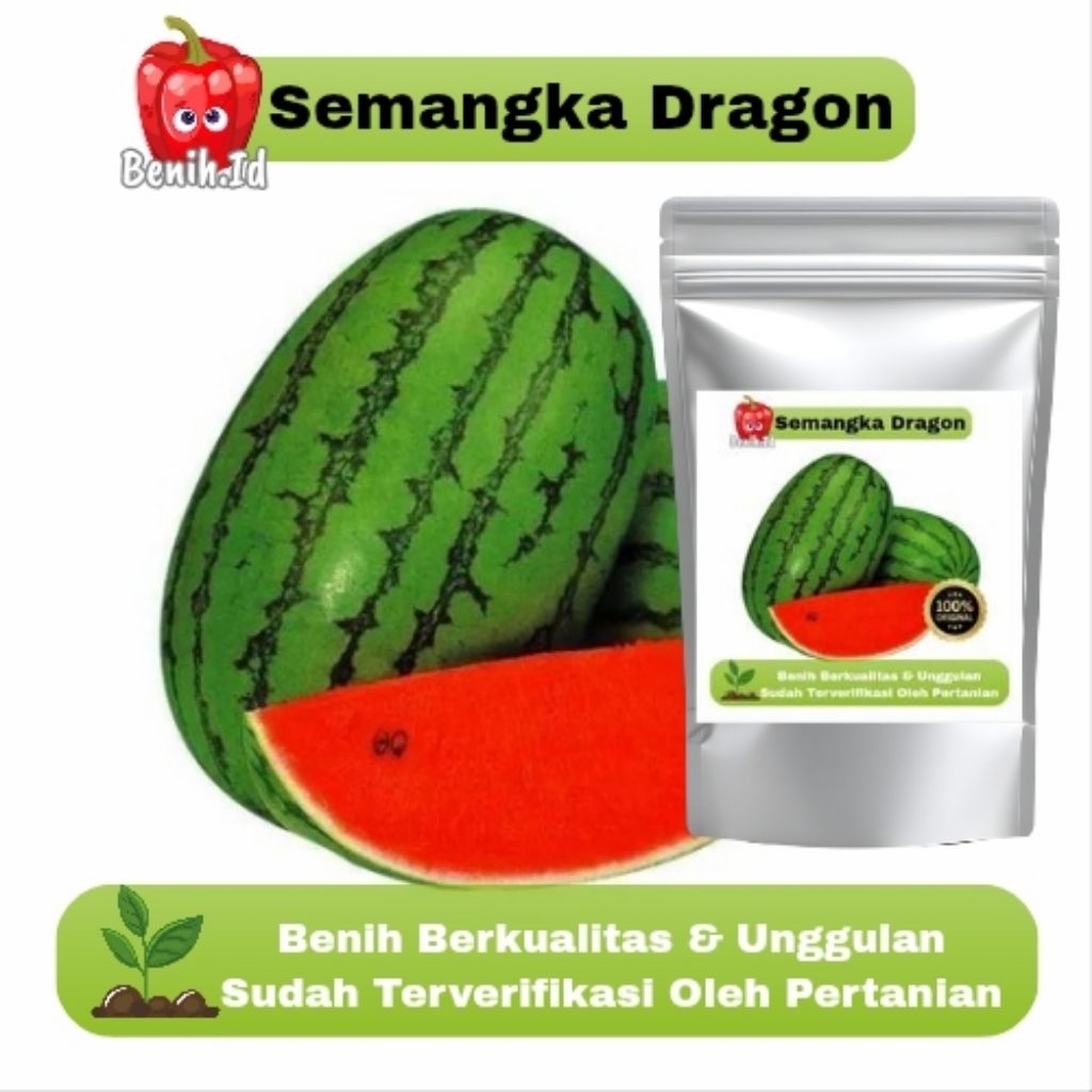 10 Butir Benih Semangka Dragon Mudah Tumbuh Bonus Benih