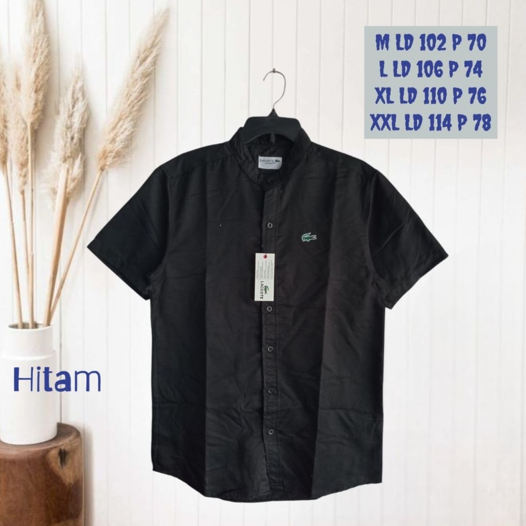 Kemeja Koko Pendek Lacoste