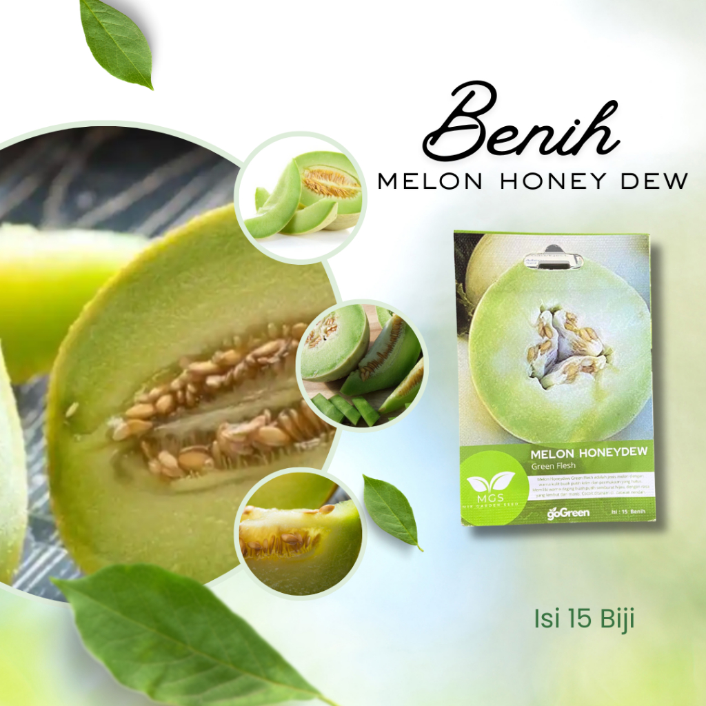 Benih Melon Honeydew isi 15biji-Benih Melon Honeydew Green Flesh Isi 15 Biji-Benih Melon Honeydew Me