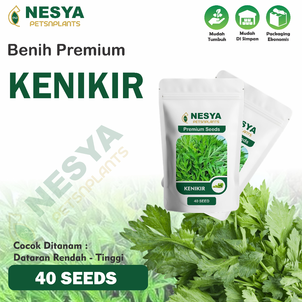 40 Biji Benih Kenikir Sayuran Kenikir Leoni