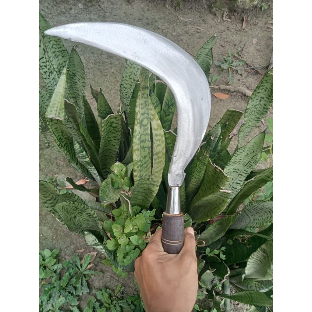 sabit rumput bahan dari baja per asli