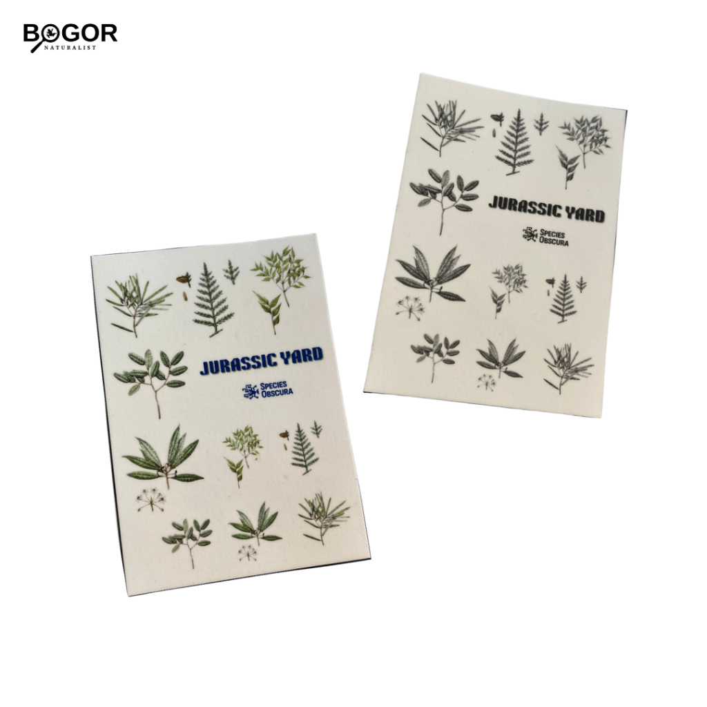 Temporary Tatoo Species Obscura