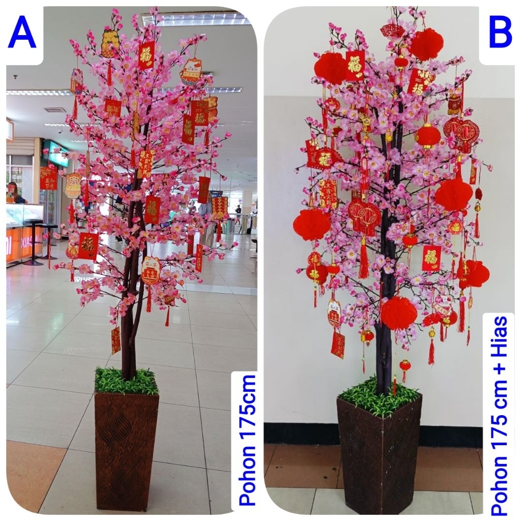 Pohon bunga Imlek meihua  angpao 175cm  2 meter an  2 m sincia sakura tinggi besar