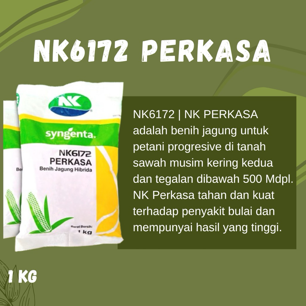 NK 6172 PERKASA 1KG ORIGINAL