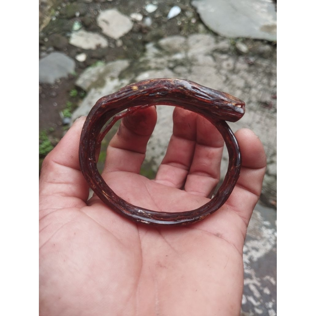 akar bahar merah kristal