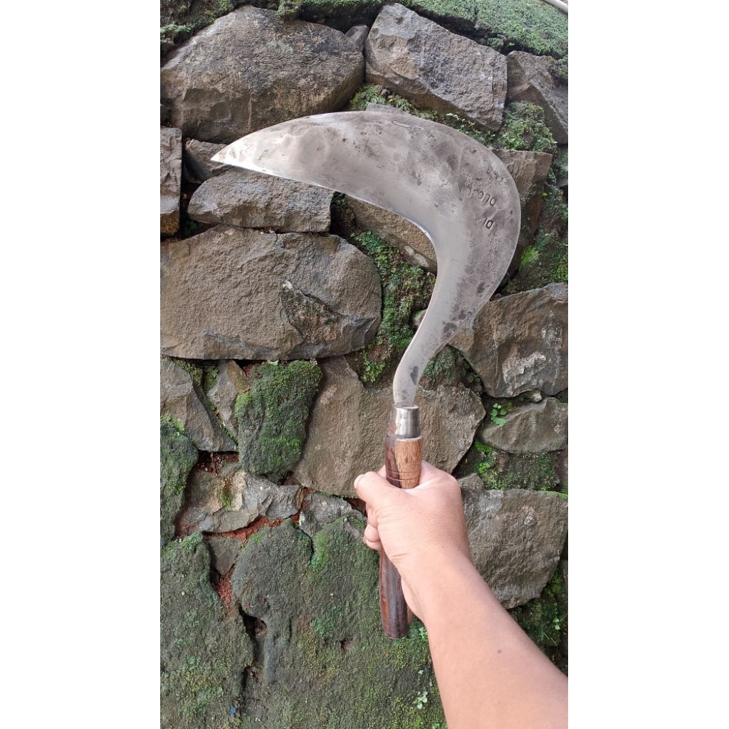 Arit/Sabit Baja Sipuhan Original Gagang Kayu Sonokeling Sipuhan Baja CapDuo