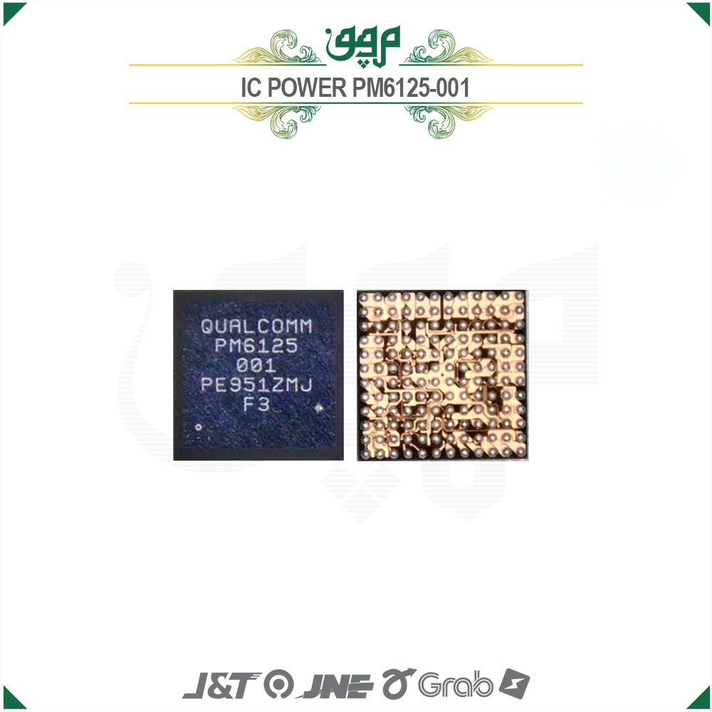 IC POWER PM6125-001 NEW