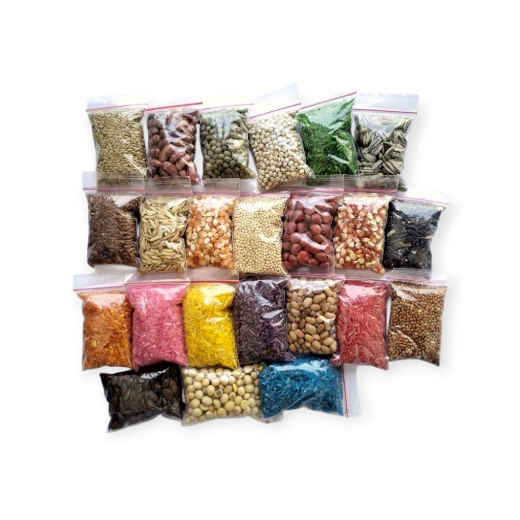 KOLASE BIJI BIJIAN | BAHAN KETRAMPILAN | BAHAN UNTUK KOLASE | KETRAMPILAN KOLASE | PAKET BIJI BIJIAN