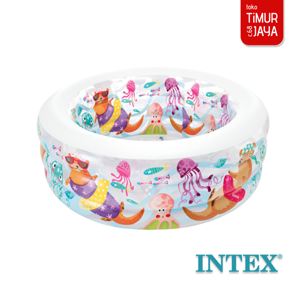 INTEX Aquarium Pool - 58480