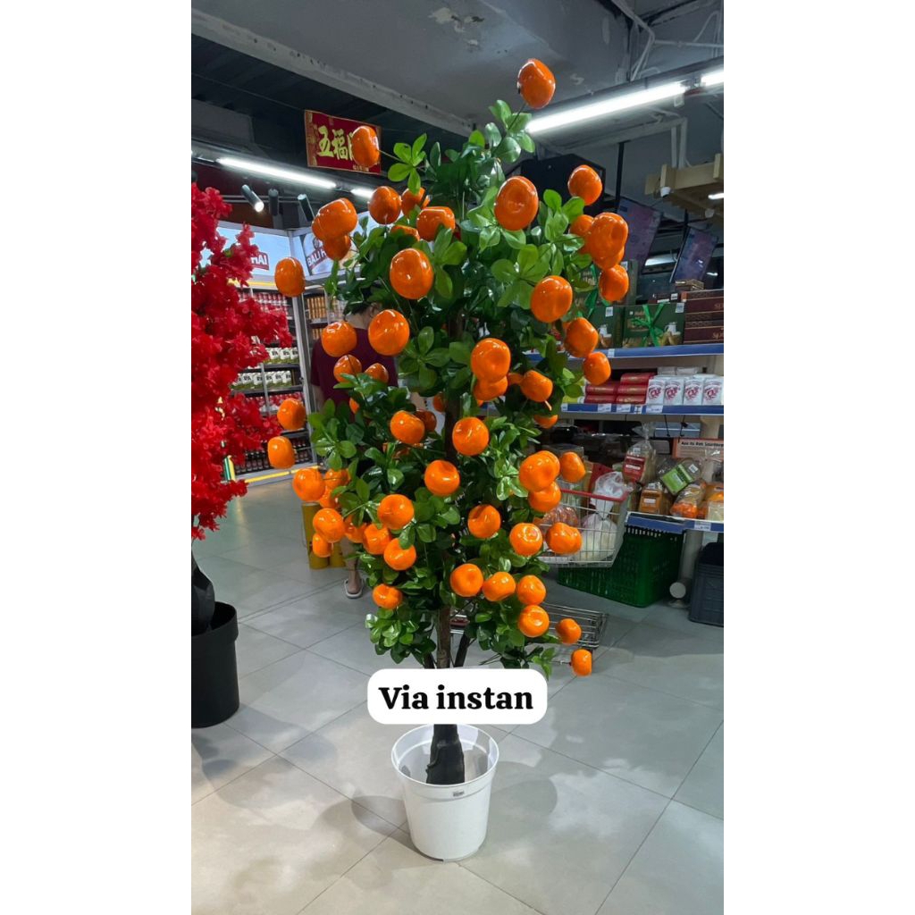 Pohon Jeruk Tanaman Plastik Pohon Rezeki Imlek