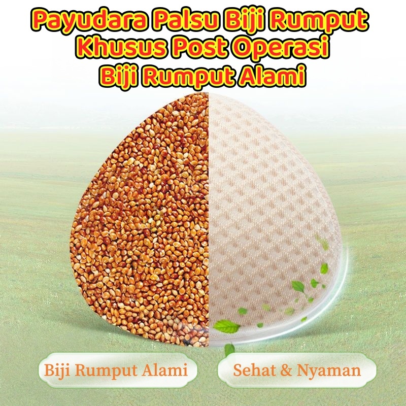 Benih rumput prostetik operasi kanker payudara pakaian dalam khusus bra mastektomi palsu payudara wa