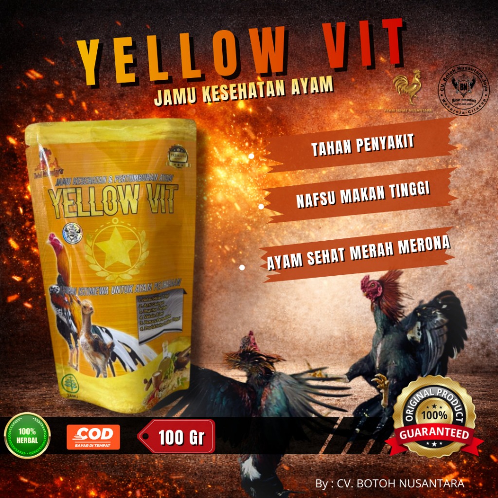 YELLOW VIT – Jamu Kesehatan Ayam Bangkok | Vitamin Alami Nafsu Makan & Stamina