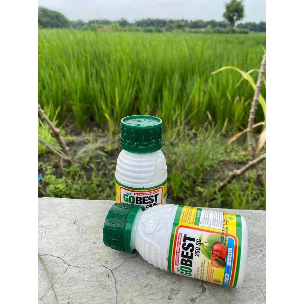 Gobest 250SC Zat Pengatur Tumbuh Tanaman Kemasan 100ML / Zpt Gobest 250 Sc