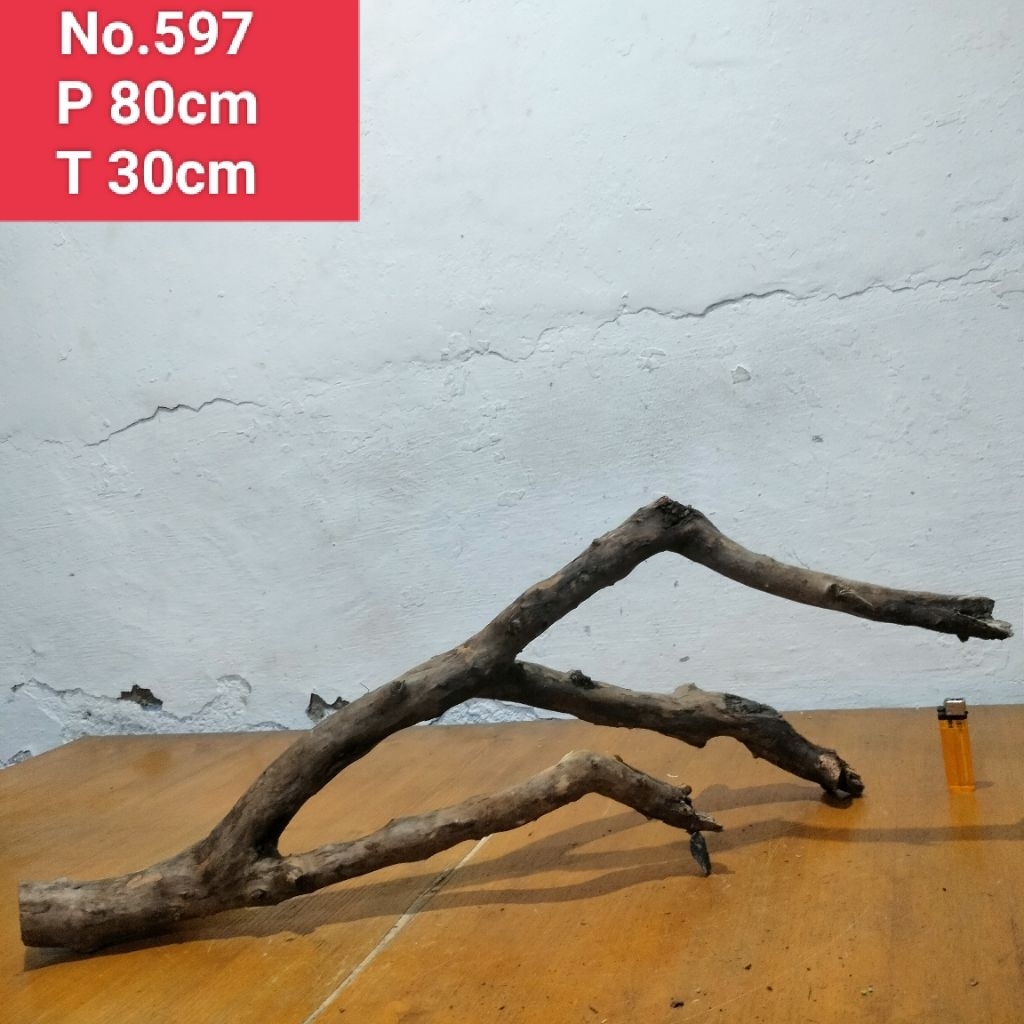 pohon santigi Laut akar santigi laut dekorasi tangkringan hewan peliharaan 597