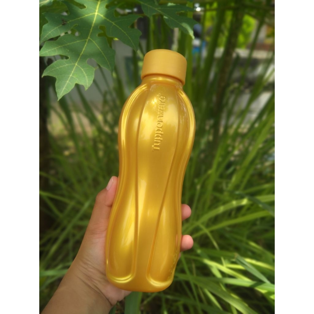 Eco 500ml Gold