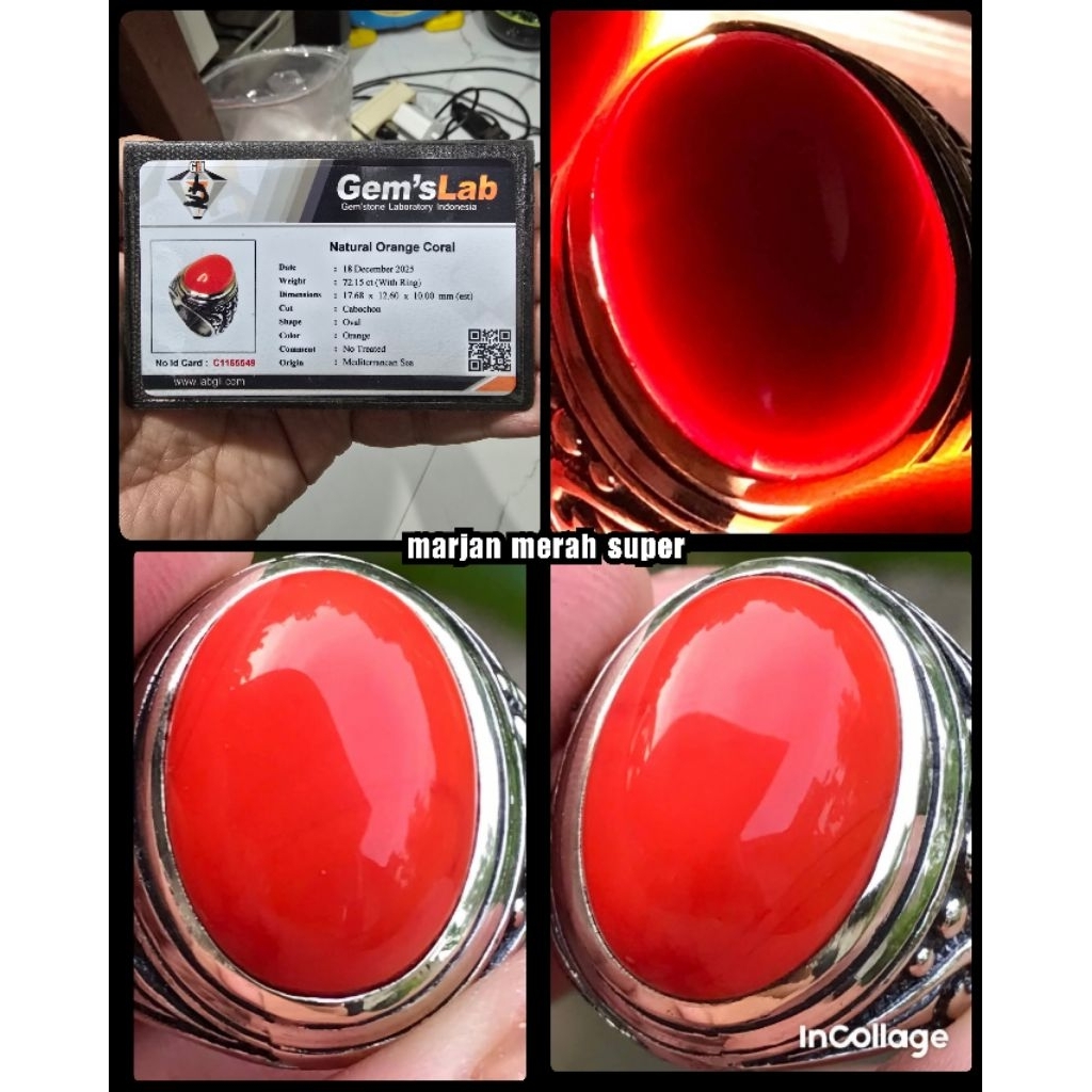 batu red coral marjan super kelas kontes bos