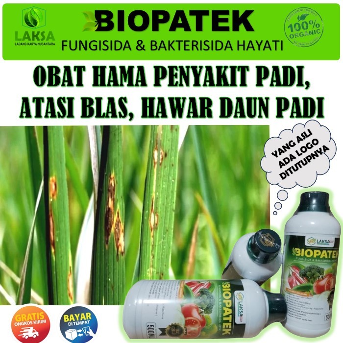 Biopatek Fungisida Bakterisida 500ml pupuk Padi, Obat mengatasi Blas, Hawar daun dan busuk padi - bi