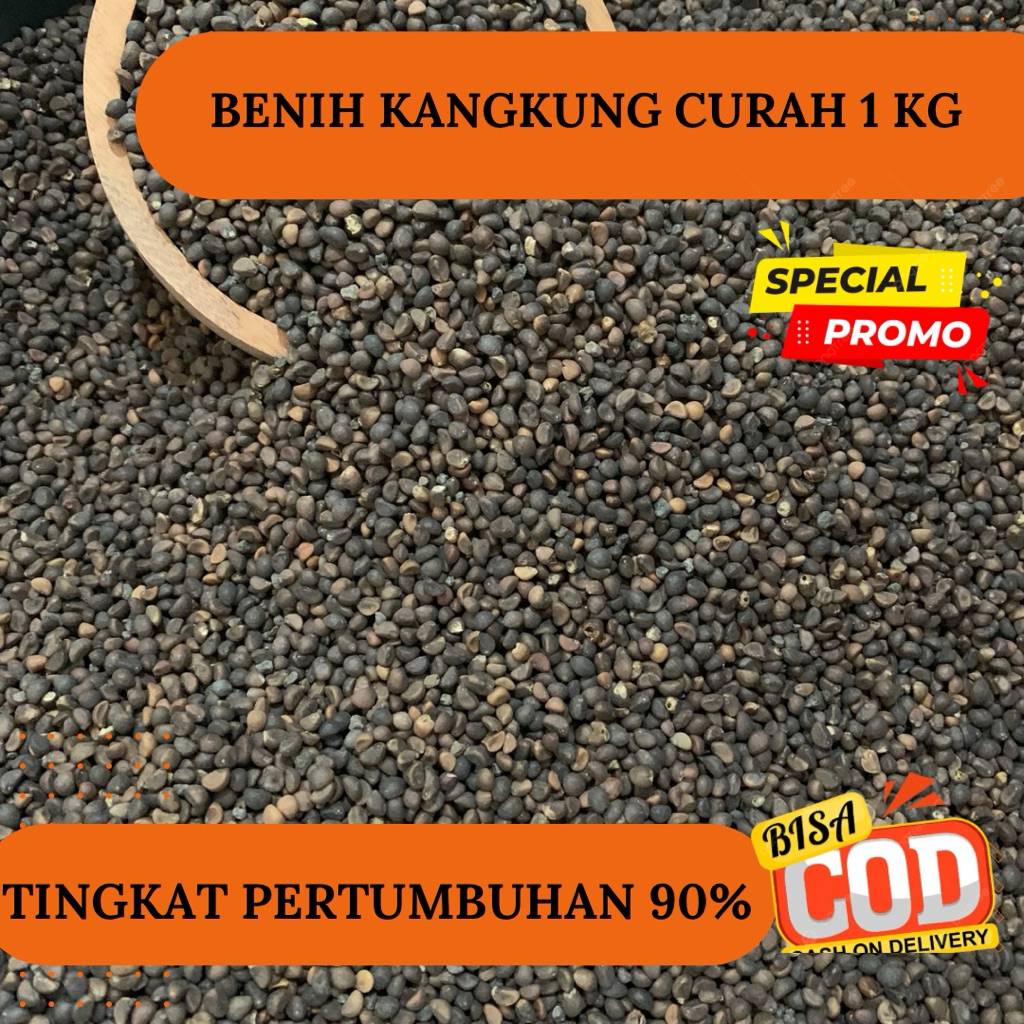 PROMO BIJI BENIH KANGKUNG 1 KG