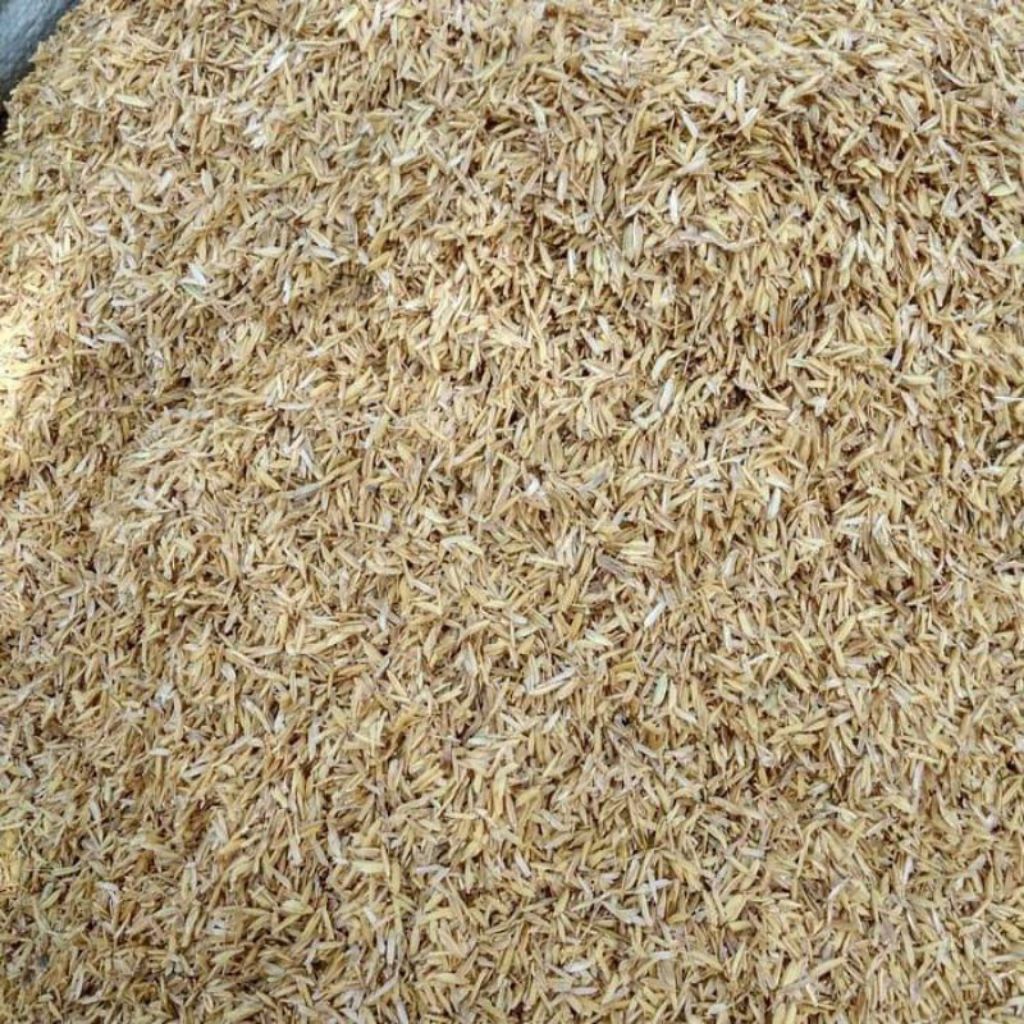 Sekam padi Mentah ukuran karung 50kg Sekam murni