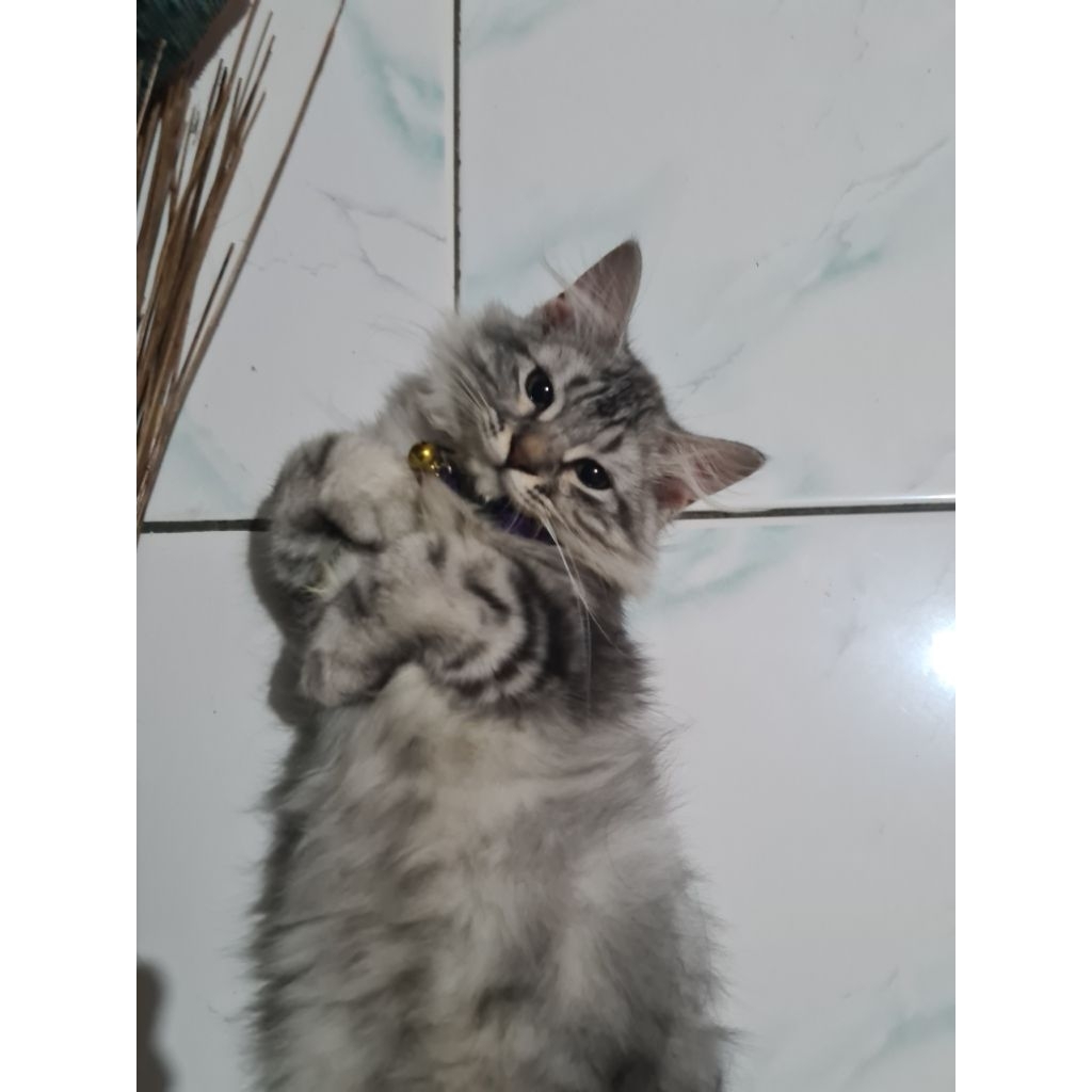 give away give give give away