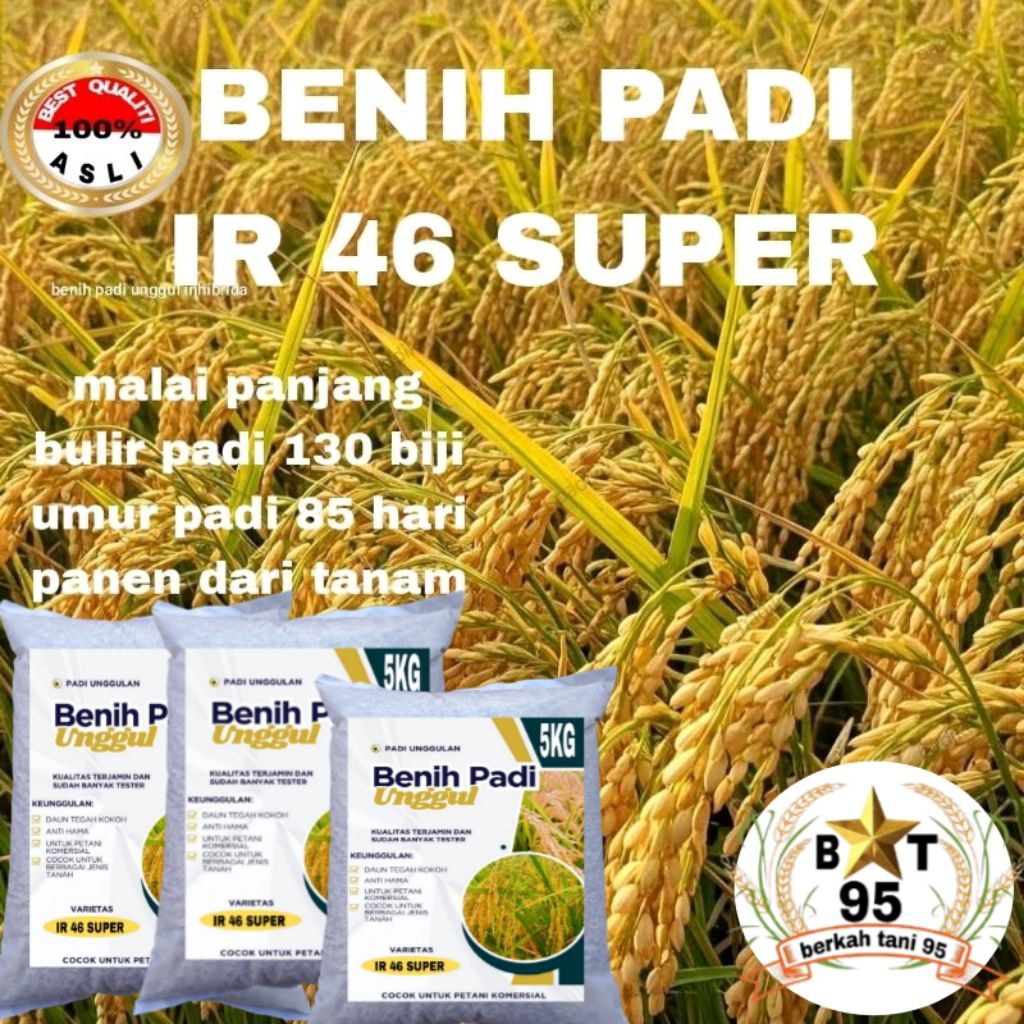 BENIH PADI IR 46 SUPER BERKUALITAS UNGGUL 5 kg
