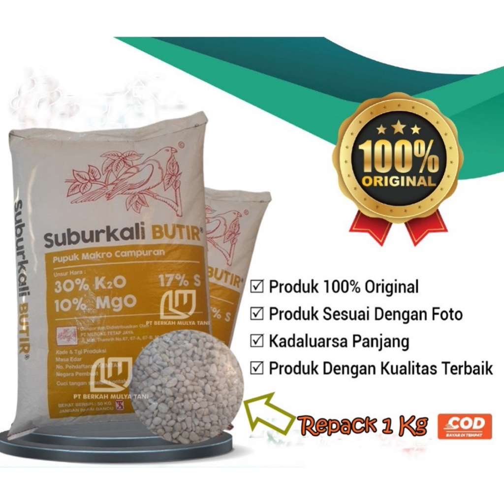 MEROKE SUBUR KALI BUTIR 1 KG ECERAN