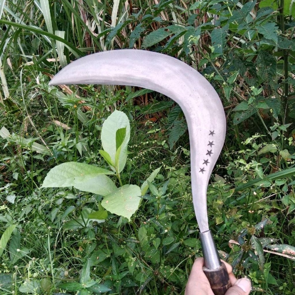 sabit rumput cap bintang 5 asli madura