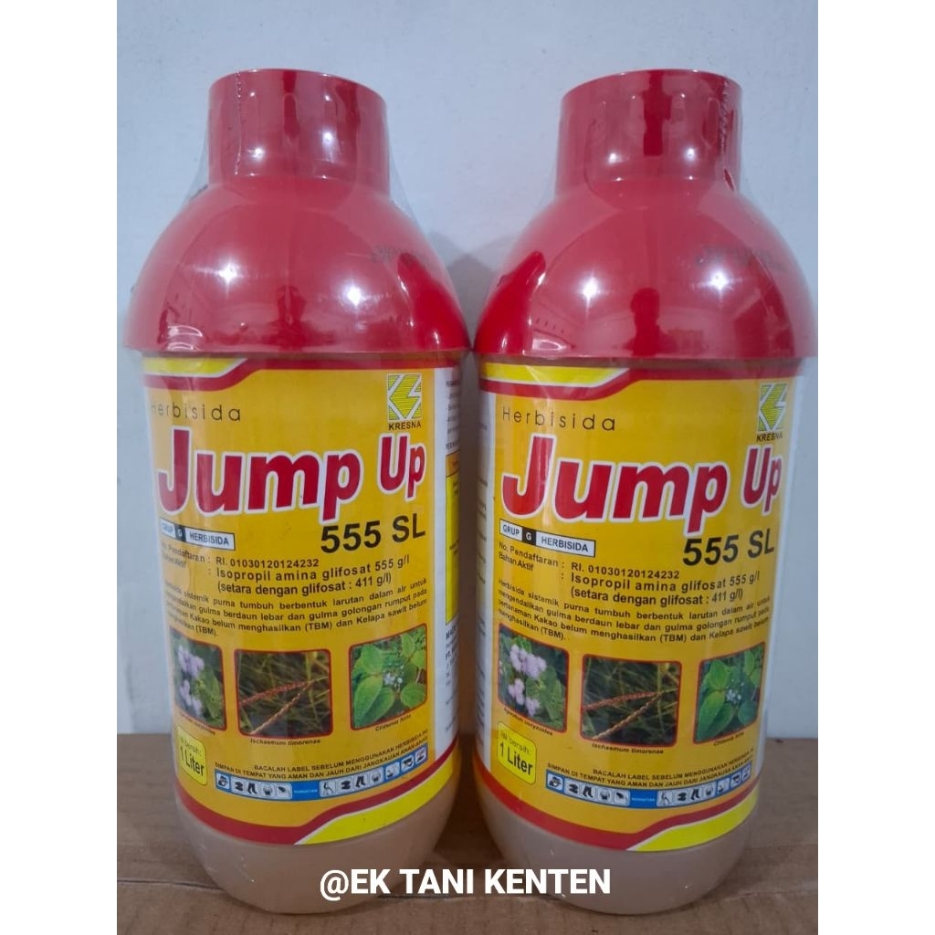 HEBISIDA SISTEMIK JUMP UP 555SL 1 LT