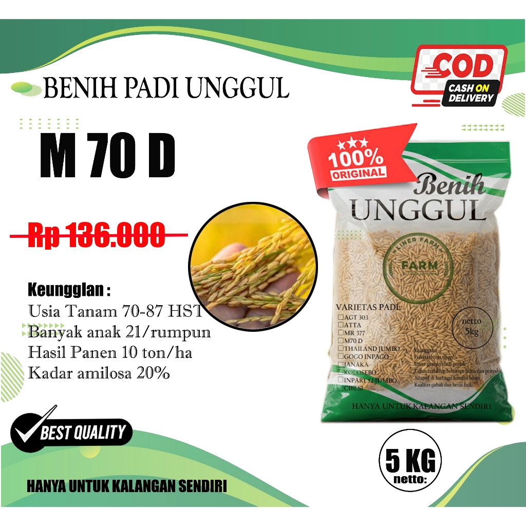 benih padi m70d Kemasan 5kg