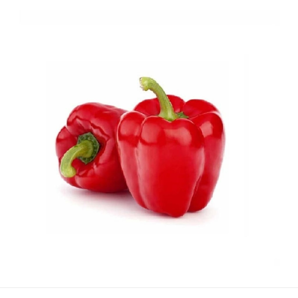 paprika merah fresh 1 buah / paprika hijau fresh 1 buah