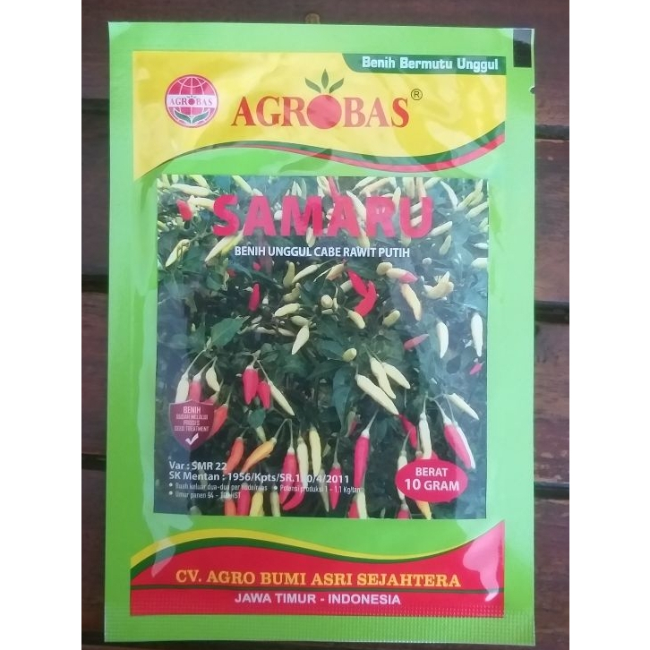 Benih Unggul Cabe Rawit Putih SAMARU
