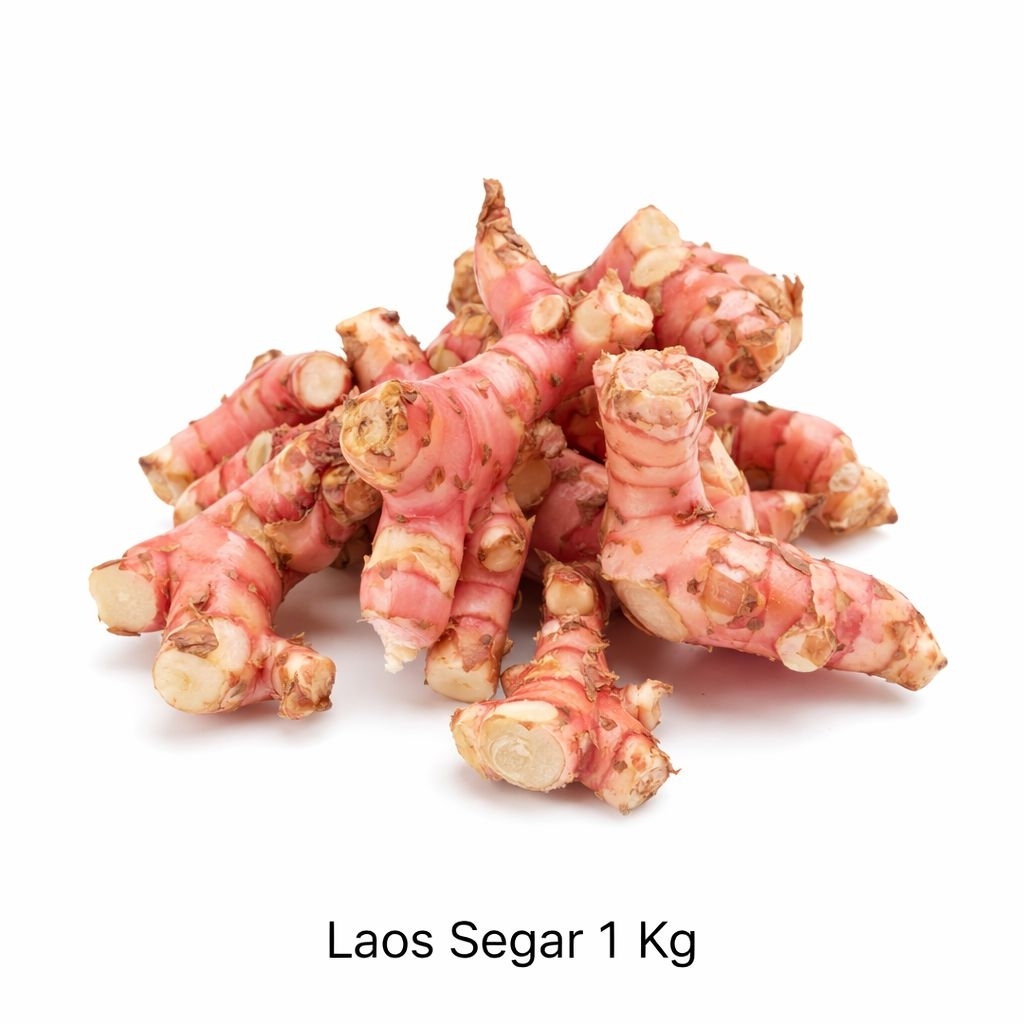 Laos Segar Asli / Lengkuas Merah Fresh – Dijual per Kg
