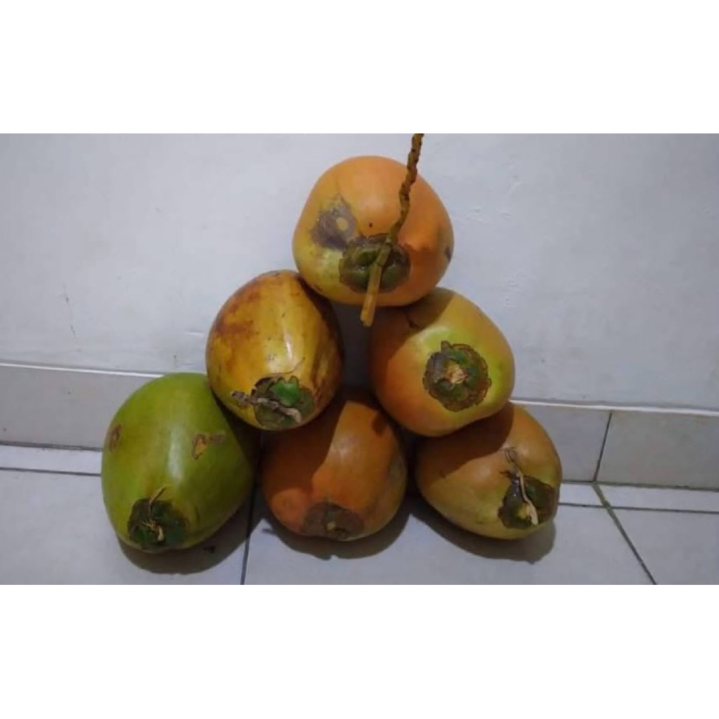 Kopyor super asli Pati