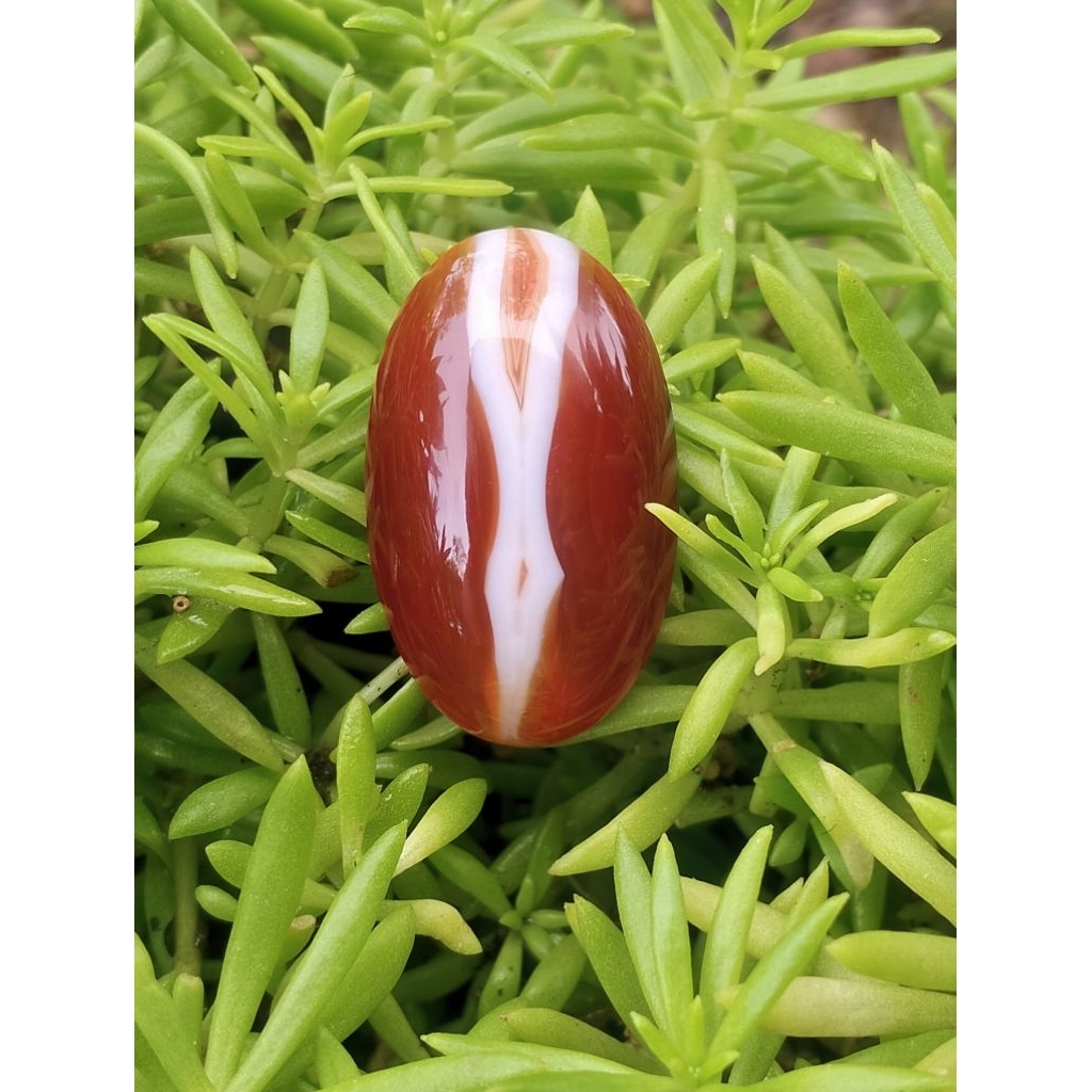 akik merah putih lam alif