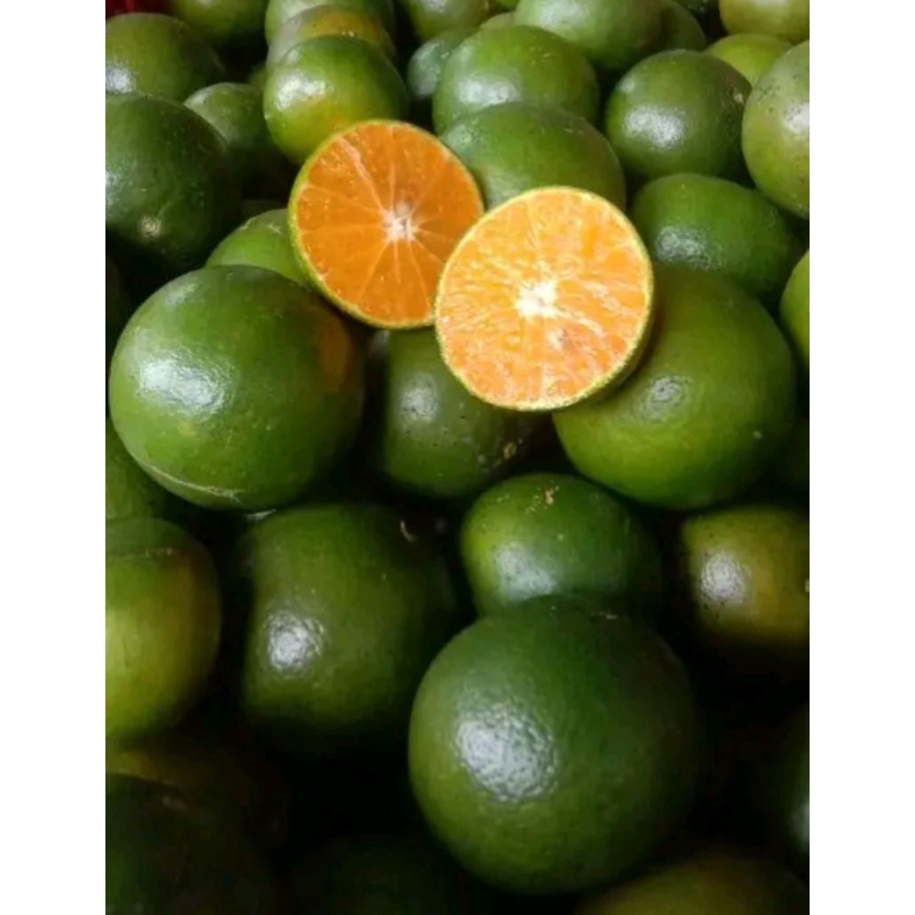 1kg jeruk sonkit/jeruk peras/jeruk kasturi/ukuran besar