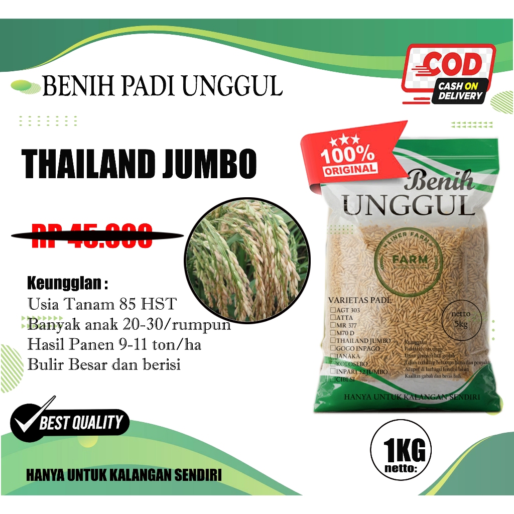 Benih bibit padi Thailand jumbo 1kg