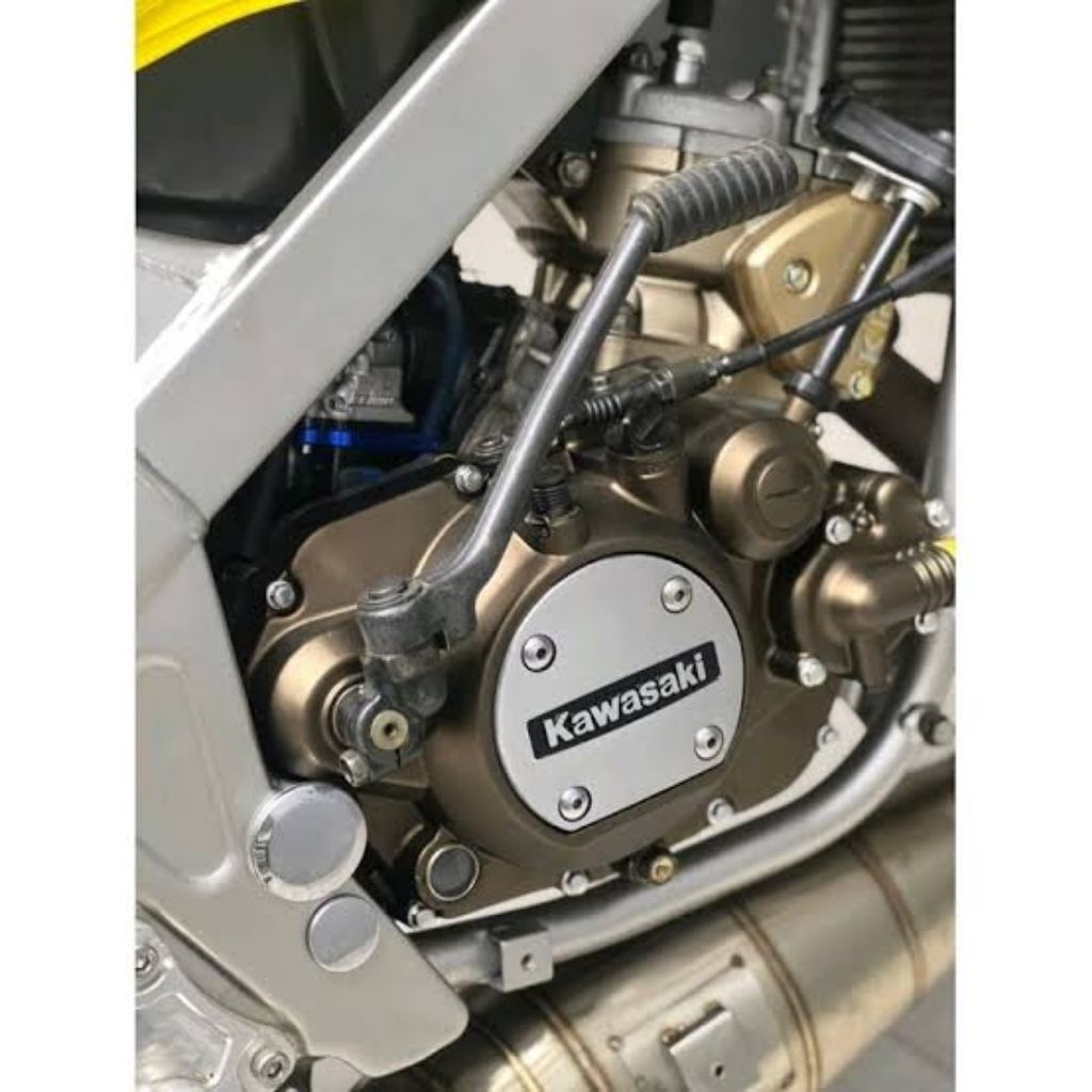 CAT PU WARNA MAGNESIUM ORIGINAL BLOK MESIN KAWASAKI NINJA