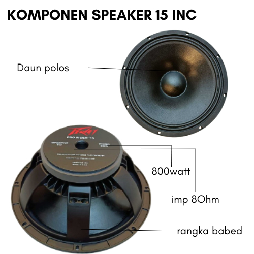 Komponen Speaker pro rider Peavey 15 inch 800watt new produk