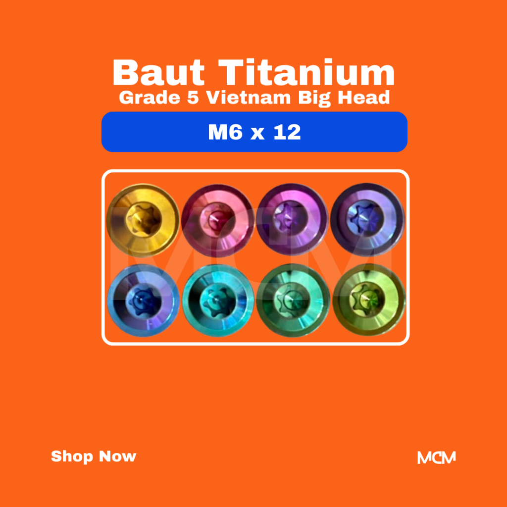 Baut Titanium Grade 5 (m6 x 12) Big Head - Vietnam - PTitanium