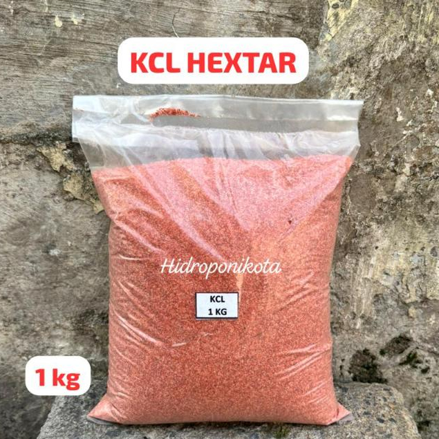 Pupuk KCL 1 kg - Pupuk Buah