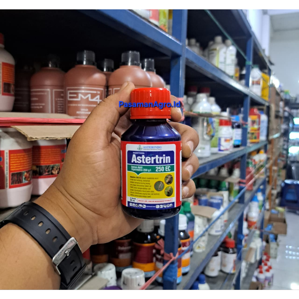 INSEKTISIDA ASTERTRIN 250 EC - 80 ML