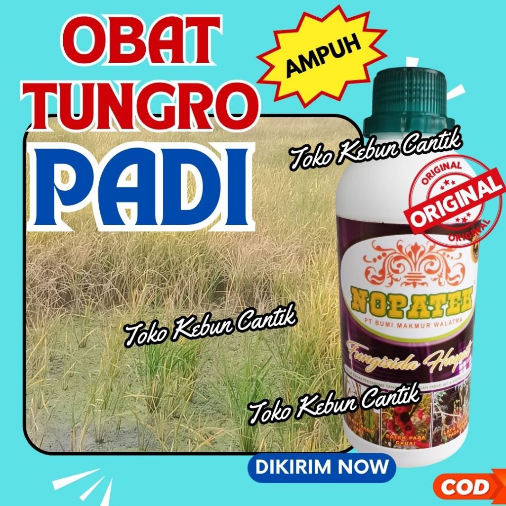 Obat Blast Daun Padi Organik NOPATEK 500ml Terbukti