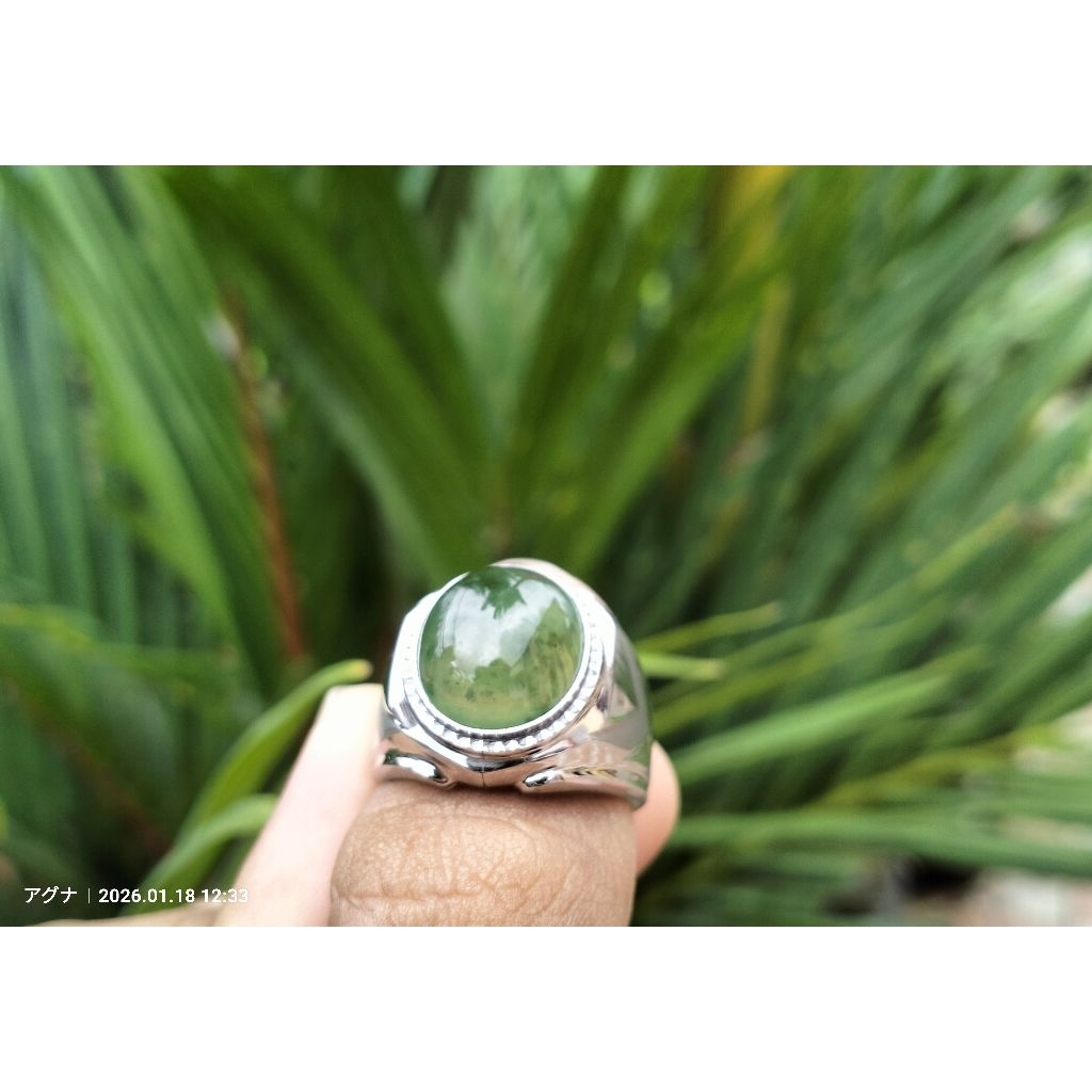 Batu Cincin Lumut Ring monel