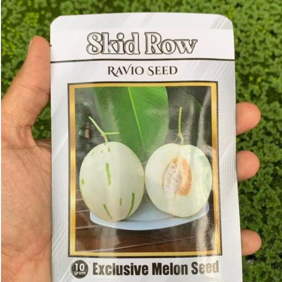Skid Row 10 gr benih buah melon ravio seed