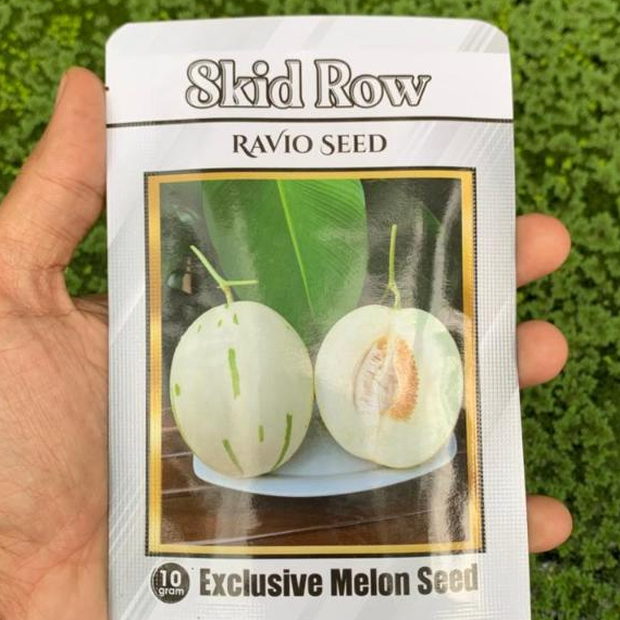 Benih Melon Dalmatian Skid Row 330 Biji Premium